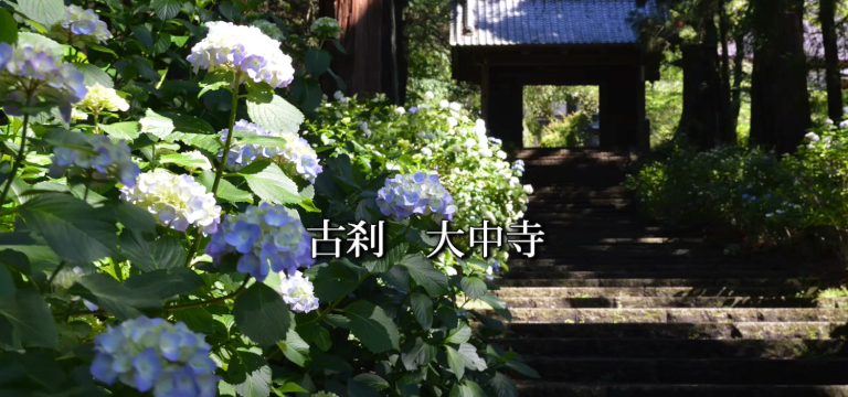 大中寺/栃木市